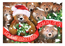Beary Bunch Holiday Cards